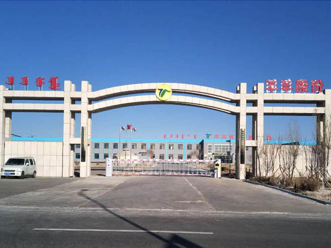 羊羊牧業(yè)股份有限公司 空降門(mén) 車(chē)牌識(shí)別